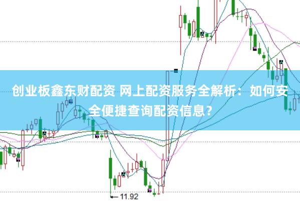 创业板鑫东财配资 网上配资服务全解析：如何安全便捷查询配资信息？