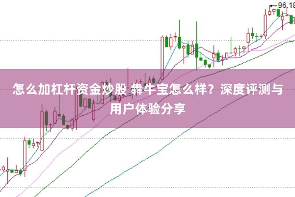 怎么加杠杆资金炒股 犇牛宝怎么样？深度评测与用户体验分享