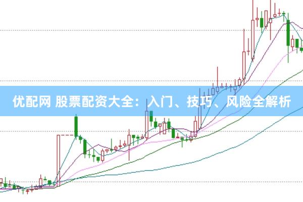 优配网 股票配资大全：入门、技巧、风险全解析