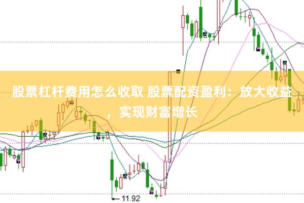 股票杠杆费用怎么收取 股票配资盈利：放大收益，实现财富增长