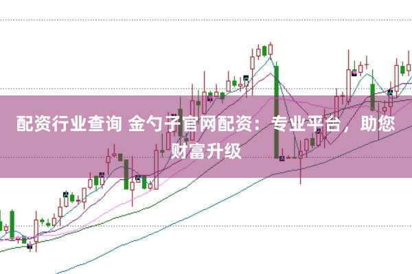 配资行业查询 金勺子官网配资：专业平台，助您财富升级