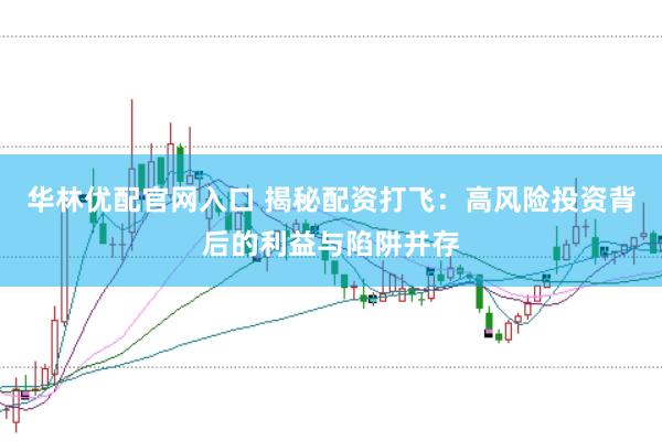 华林优配官网入口 揭秘配资打飞：高风险投资背后的利益与陷阱并存