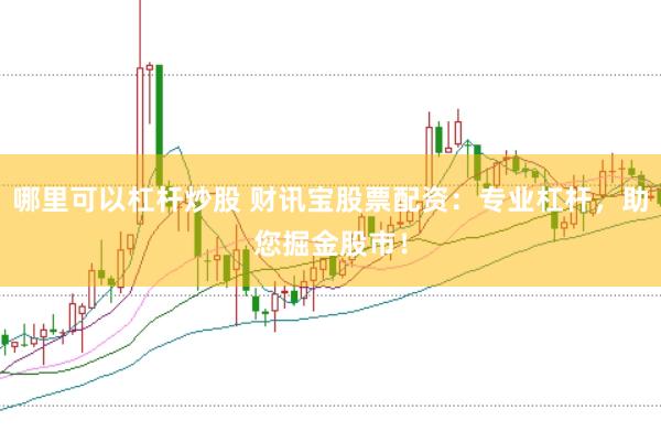哪里可以杠杆炒股 财讯宝股票配资：专业杠杆，助您掘金股市！