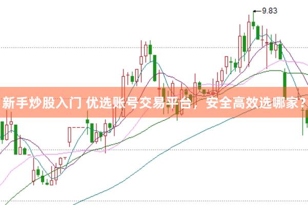 新手炒股入门 优选账号交易平台，安全高效选哪家？