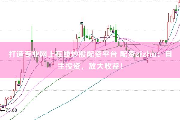 打造专业网上在线炒股配资平台 配资zizhu：自主投资，放大收益！