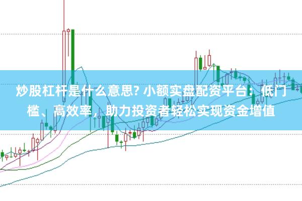 炒股杠杆是什么意思? 小额实盘配资平台：低门槛、高效率，助力投资者轻松实现资金增值