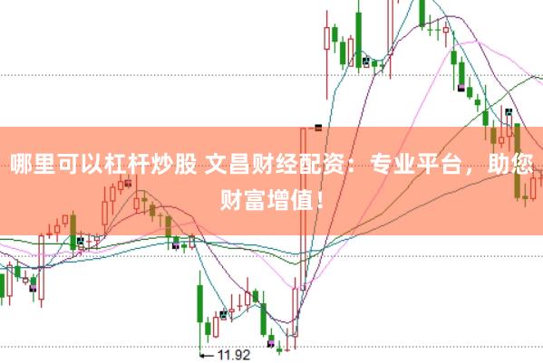 哪里可以杠杆炒股 文昌财经配资：专业平台，助您财富增值！