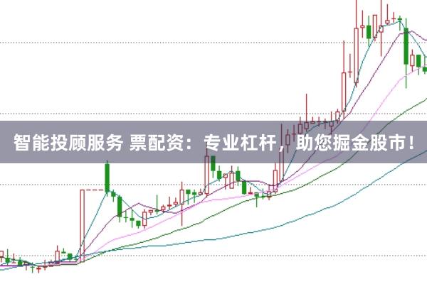 智能投顾服务 票配资:专业杠杆,助您掘金股市!