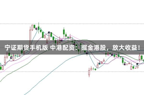 宁证期货手机版 中港配资：掘金港股，放大收益！