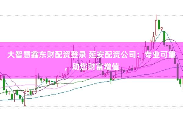 大智慧鑫东财配资登录 延安配资公司:专业可靠,助您财富增值