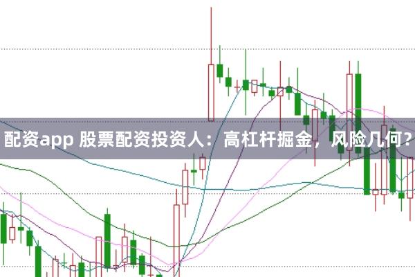 配资app 股票配资投资人:高杠杆掘金,风险几何?