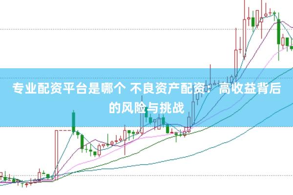 专业配资平台是哪个 不良资产配资:高收益背后的风险与挑战