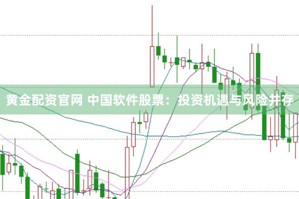 黄金配资官网 中国软件股票：投资机遇与风险并存