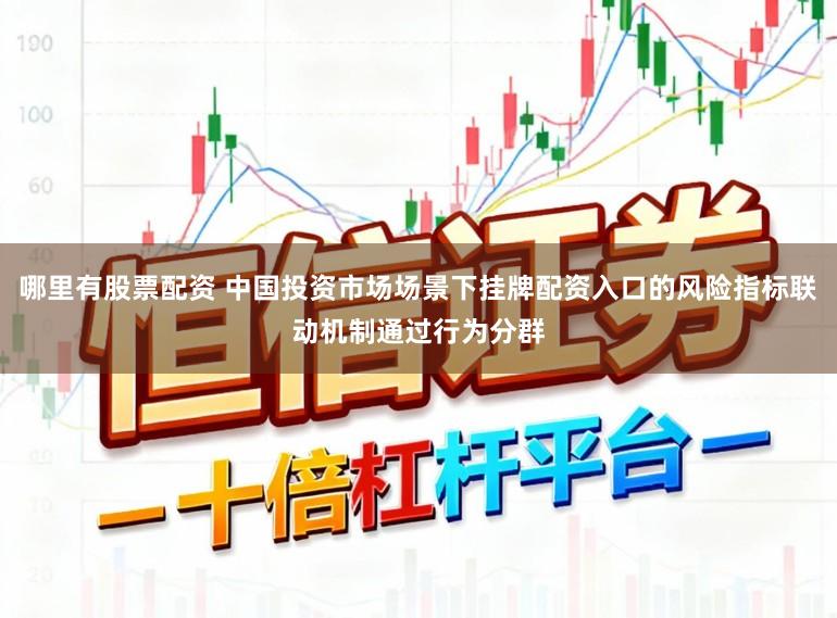 哪里有股票配资 中国投资市场场景下挂牌配资入口的风险指标联动机制通过行为分群