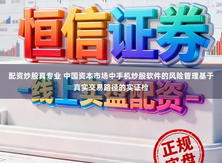 配资炒股真专业 中国资本市场中手机炒股软件的风险管理基于真实交易路径的实证检