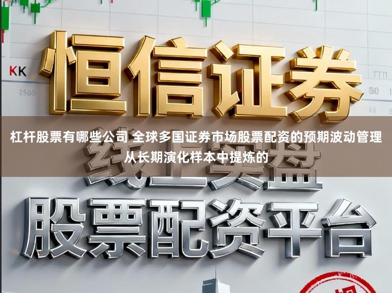 杠杆股票有哪些公司 全球多国证券市场股票配资的预期波动管理从长期演化样本中提炼的