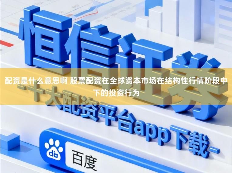 配资是什么意思啊 股票配资在全球资本市场在结构性行情阶段中下的投资行为